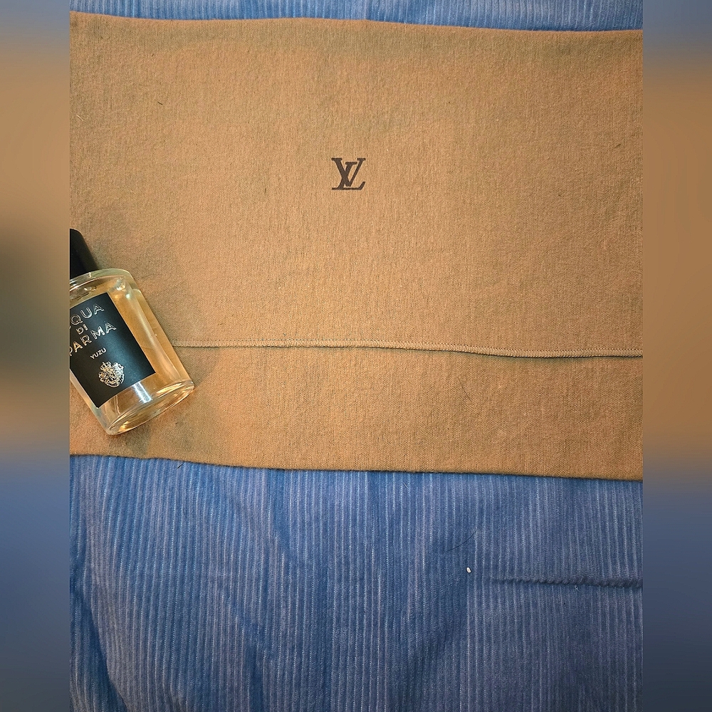 Louis Vuitton Tan dust Bag MEDIUM